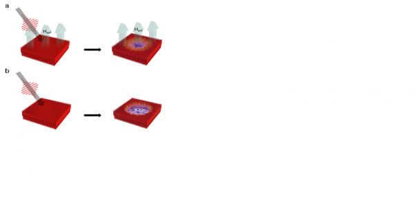 ff1b300d63b893fb58971b51dbed1c31_1550049720_694.png