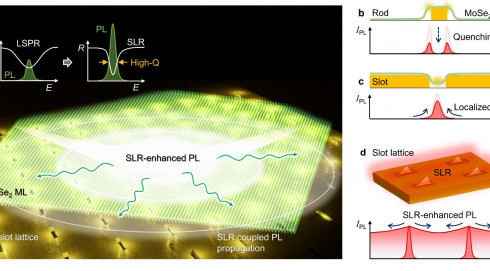 [박경덕 교수] 바비넷 원리와 표면격자공명을 활용한 2차원 반도체 발…